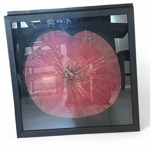 Uttermost Set of 2 Botanical Framed Shadow Box Wall Art Dried Lotus Flowers - Picture 10 of 10